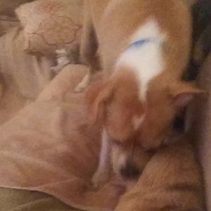 Meet your Posher, Lorraine